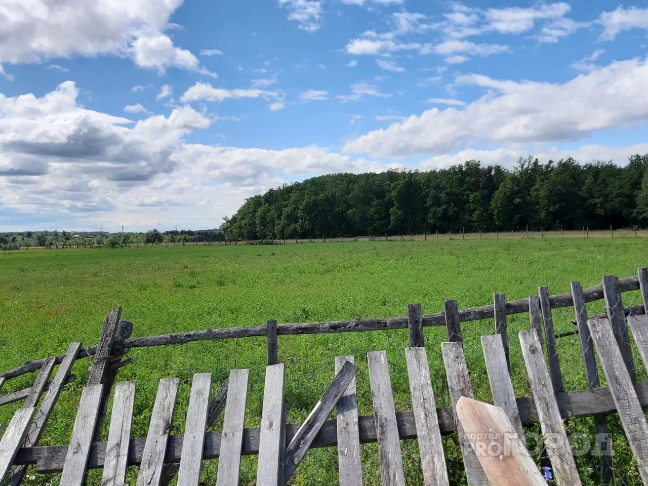 Фото к статье: В Чувашии ожидаются заморозки на почве до -1