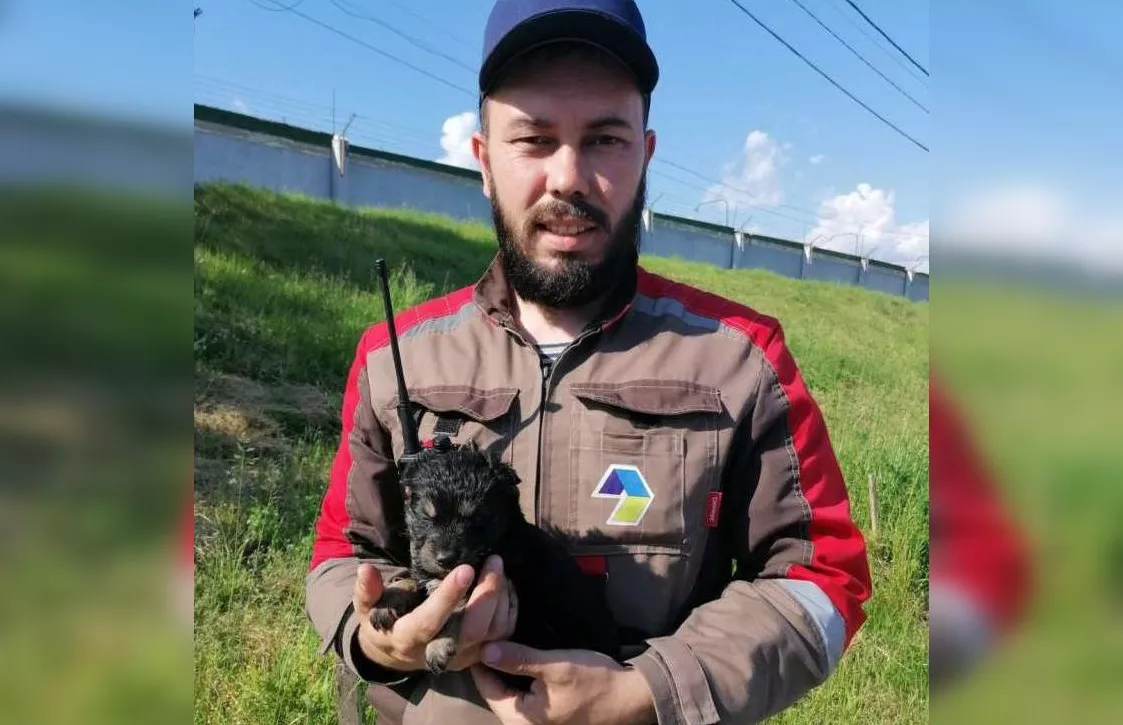 Фото к статье: При сортировке мусора рабочие нашли двухнедельного щенка