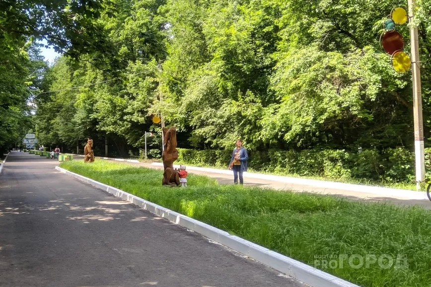 Фото к статье: Пятничные +23 обещают синоптики в Чувашии