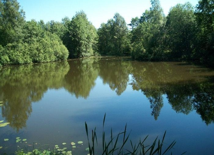 Житель чувашской деревни утонул в пруду, тело доставали сельчане