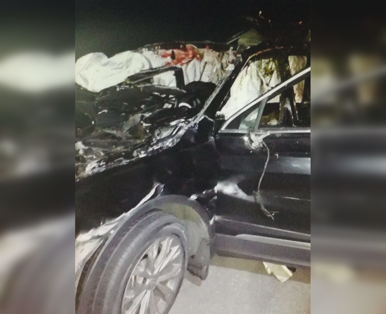 В Ядринском районе водитель погиб в столкновении с лосем