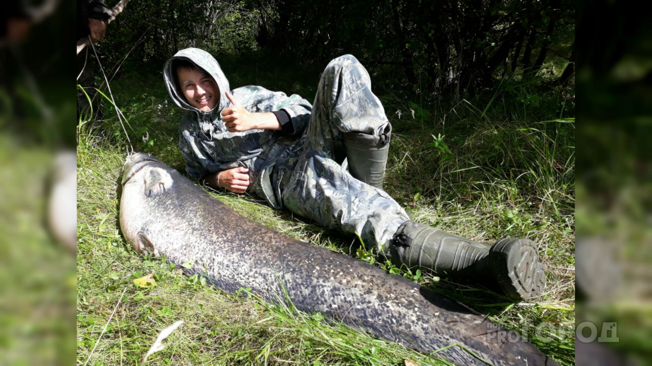 Чебоксарец поймал на Суре 38-килограммового сома: "Я подумал, что это мелкая рыбешка"