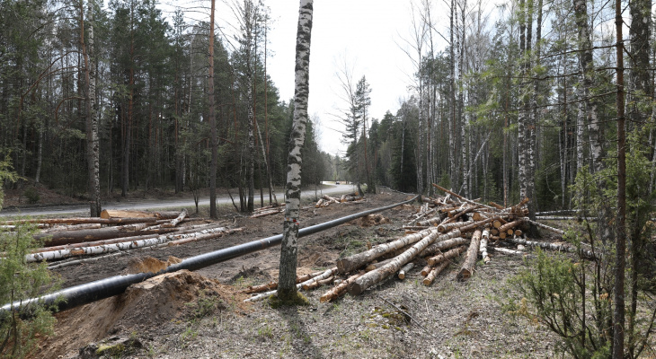 В Заволжье планируют создать природный парк и "губернаторский лагерь"