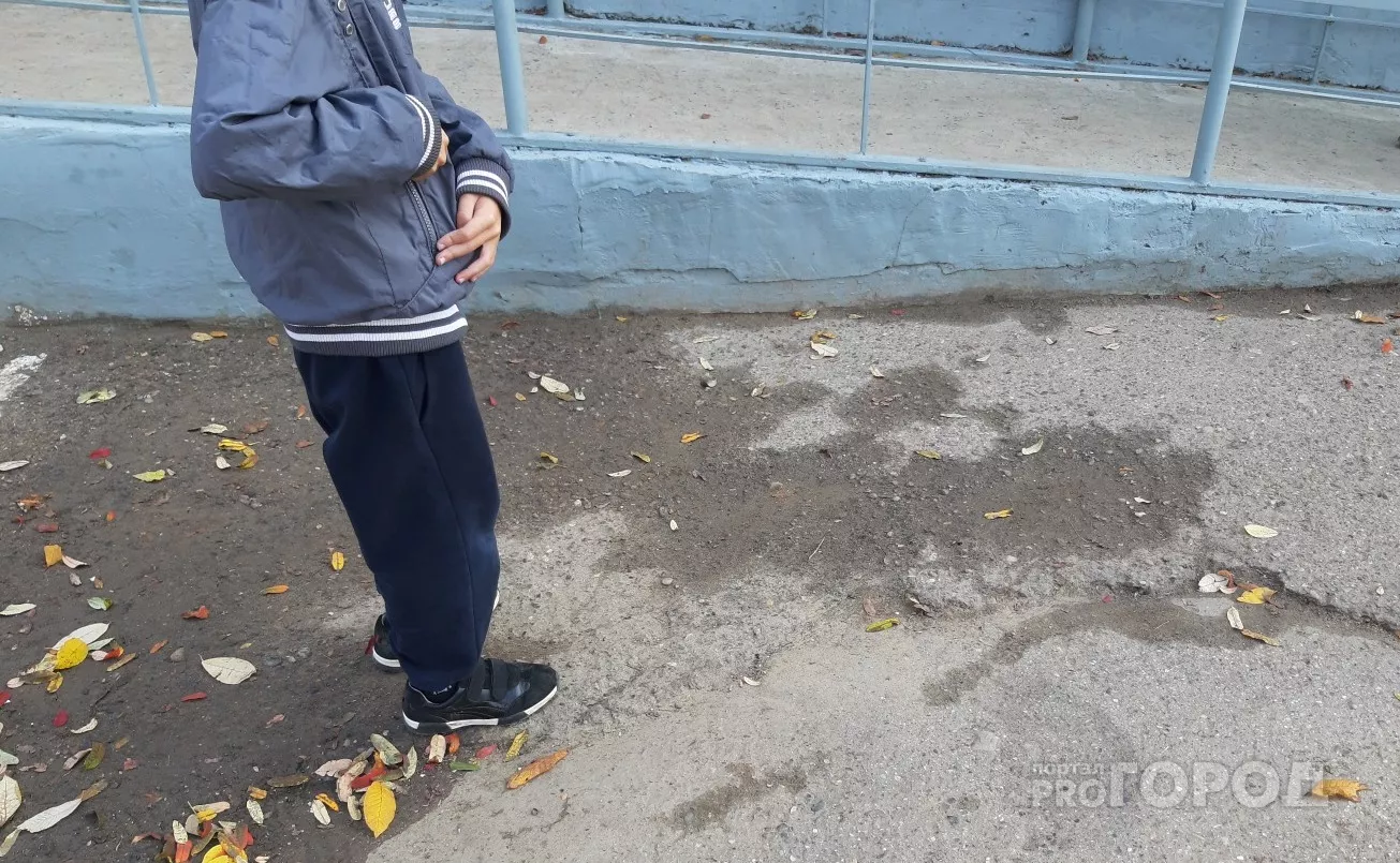 Фото к статье: В Ибресях пропал 8-летний мальчик: "Вышел на минуту и не вернулся"