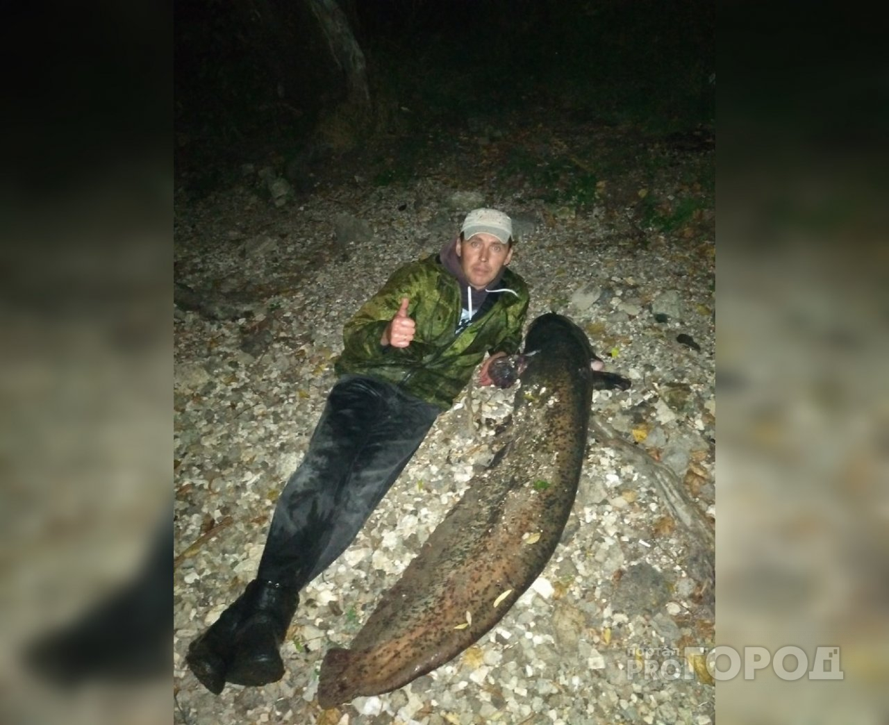 "Сидел на судака, а поймал 20-килограммового сома": житель Чувашии о своей неожиданной удаче