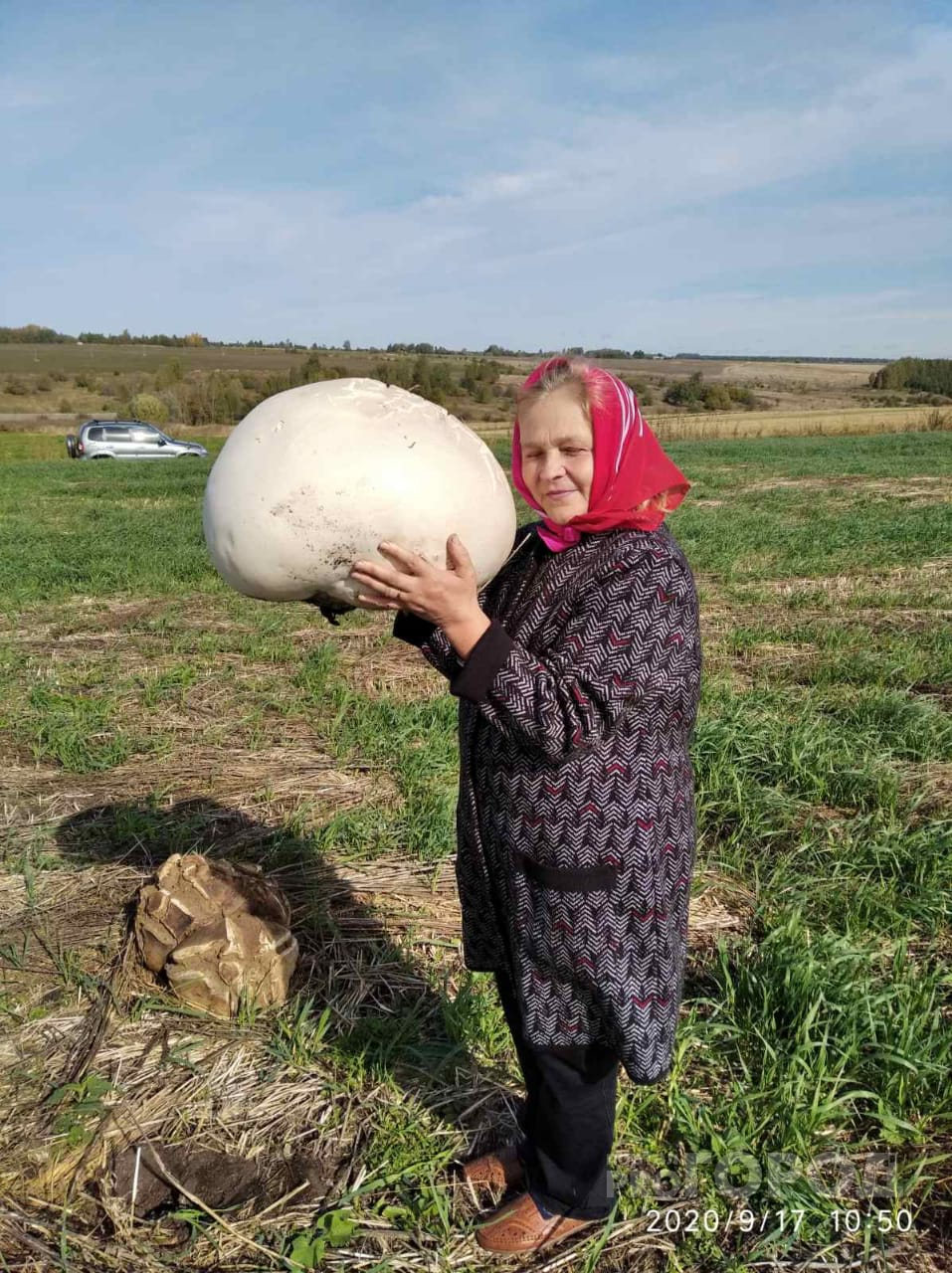 Четыре огромных гриба нашли жители Чувашии: "Приготовили, очень вкусно"
