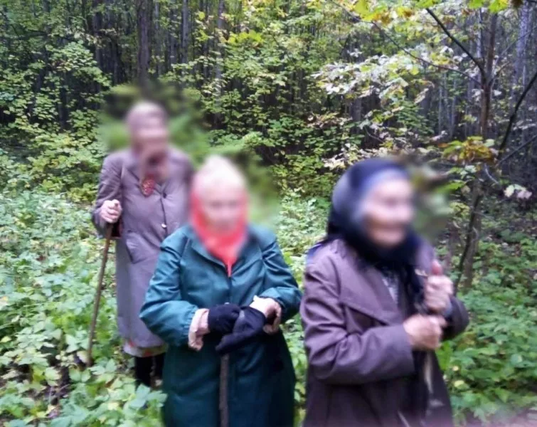 Фото к статье: В Чувашии бабушки потерялись в лесу, но не бросили корзинки с опятами