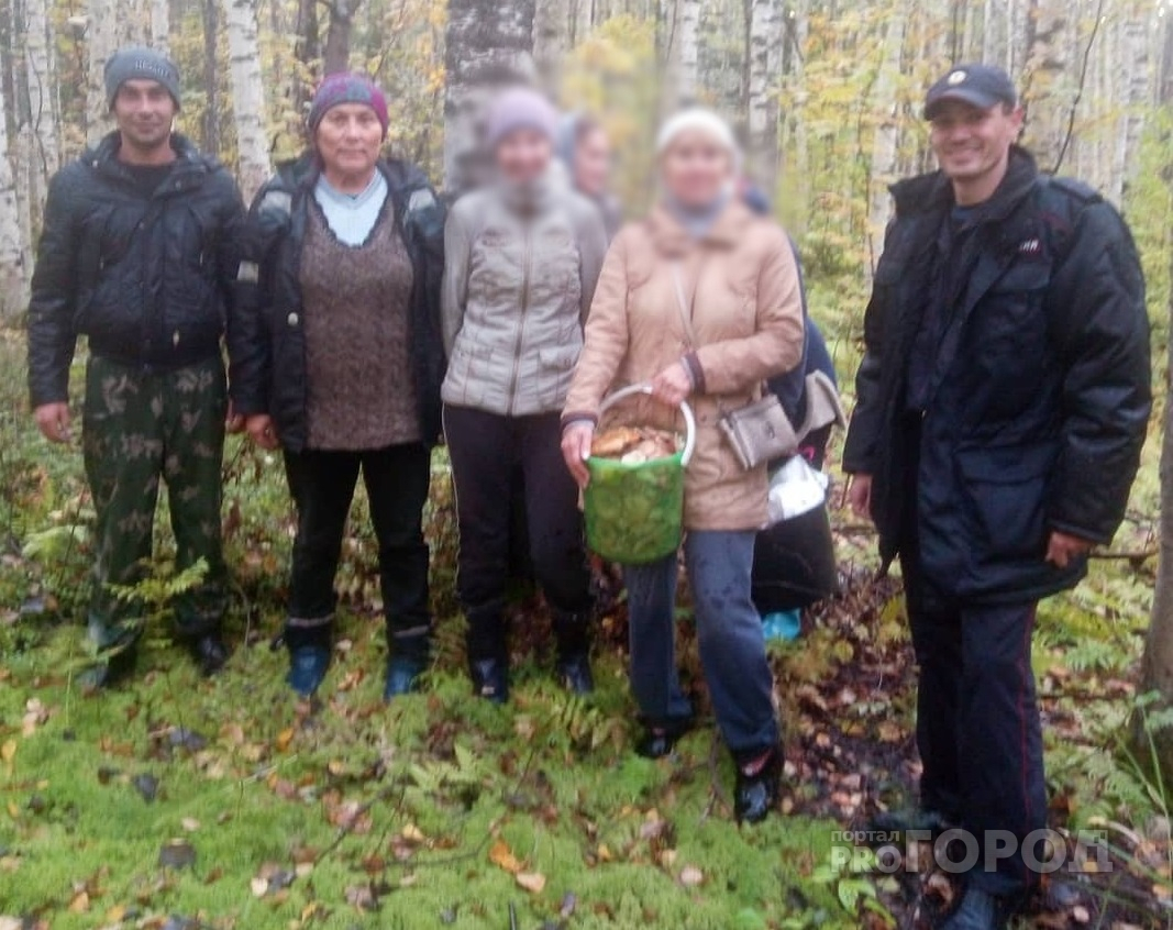 В Батыревском районе четыре женщины пошли за грибами и заблудились