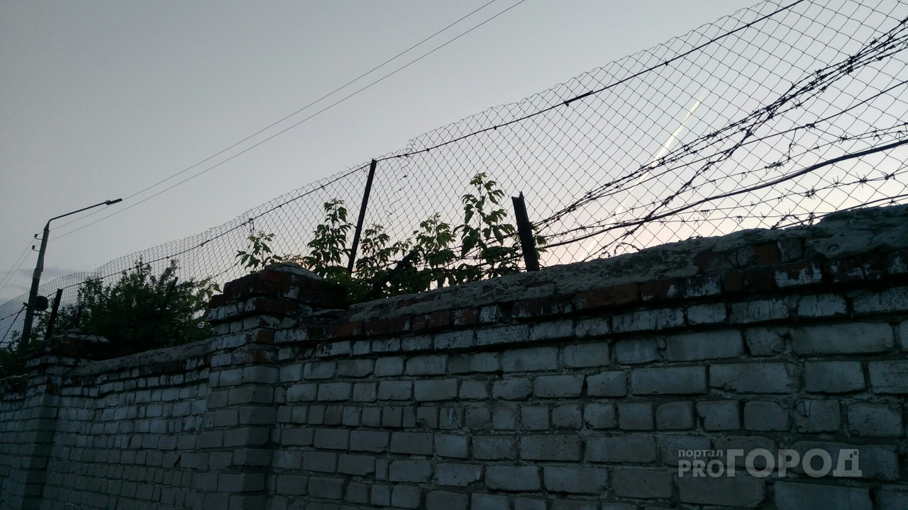 Могут ли Ефремова перевести в чувашскую тюрьму: объяснение УФСИН