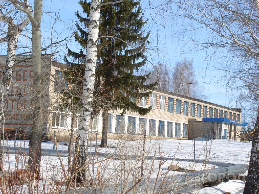 Фото к статье: Три школы в Чувашии распустили на карантин