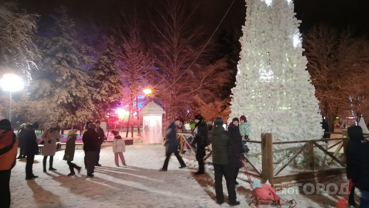 17 % жителей Чувашии не рады длинным новогодним каникулам: "Лишь бы не работать"