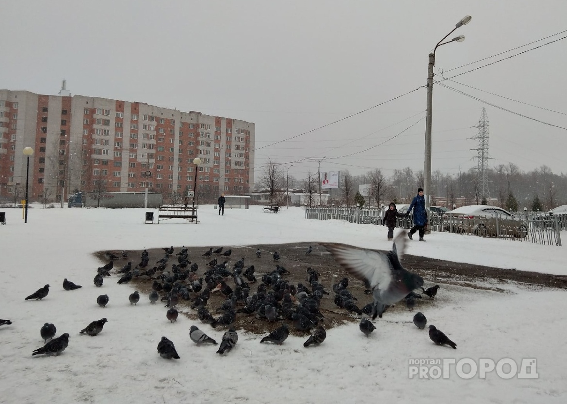 Когда потеплеет в чувашии в мае. Резкое похолодание.