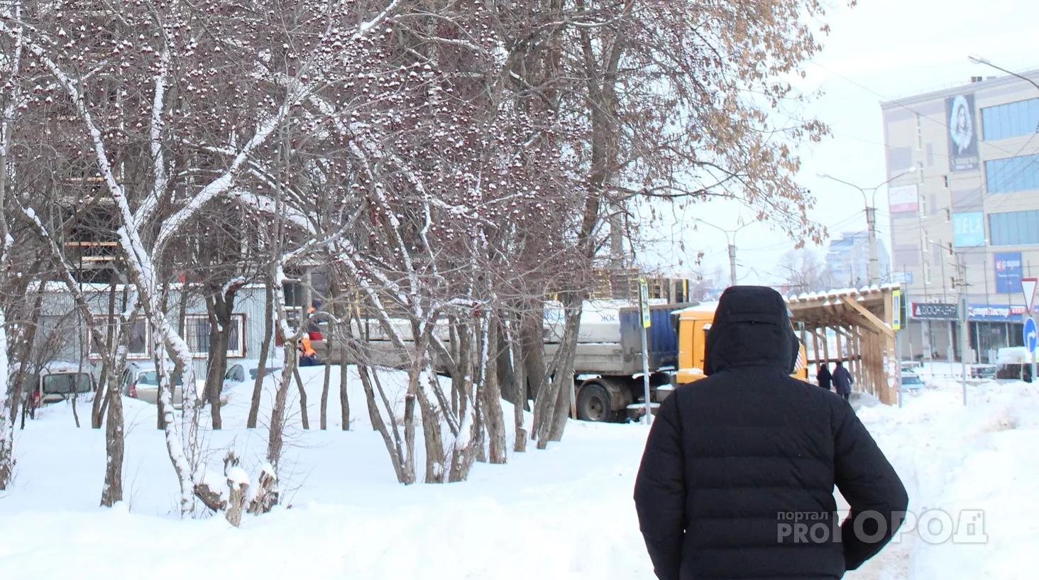 Фото к статье: В Чебоксарах власти поздравили с днем рождения мертвого человека