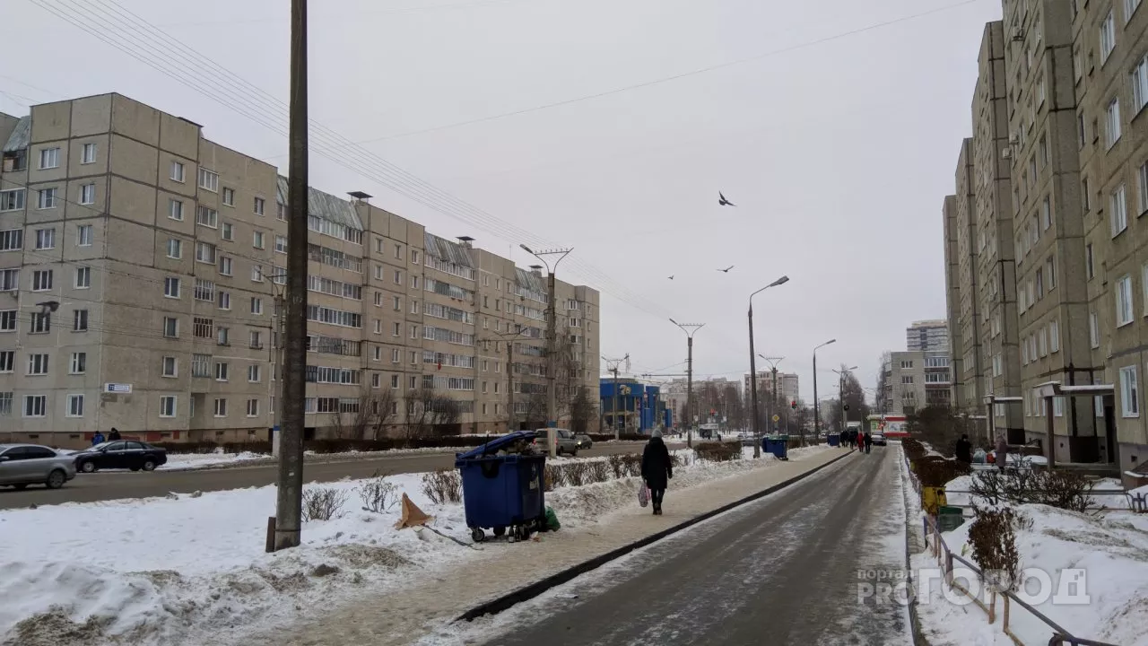 Фото к статье: Вывозят ли мусор в новогодние праздники: фоторепортаж