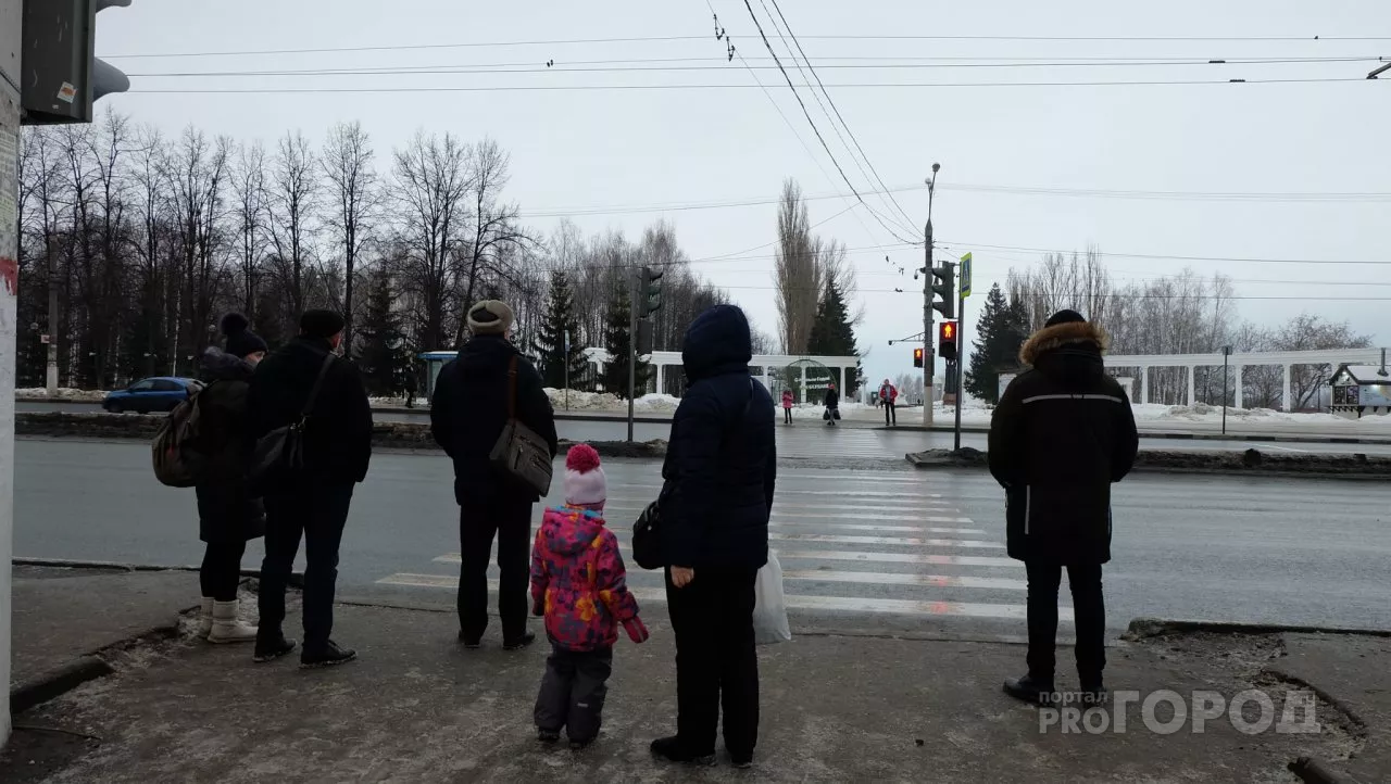 Фото к статье: В Чувашии многодетным семьям не выдали пособия за январь