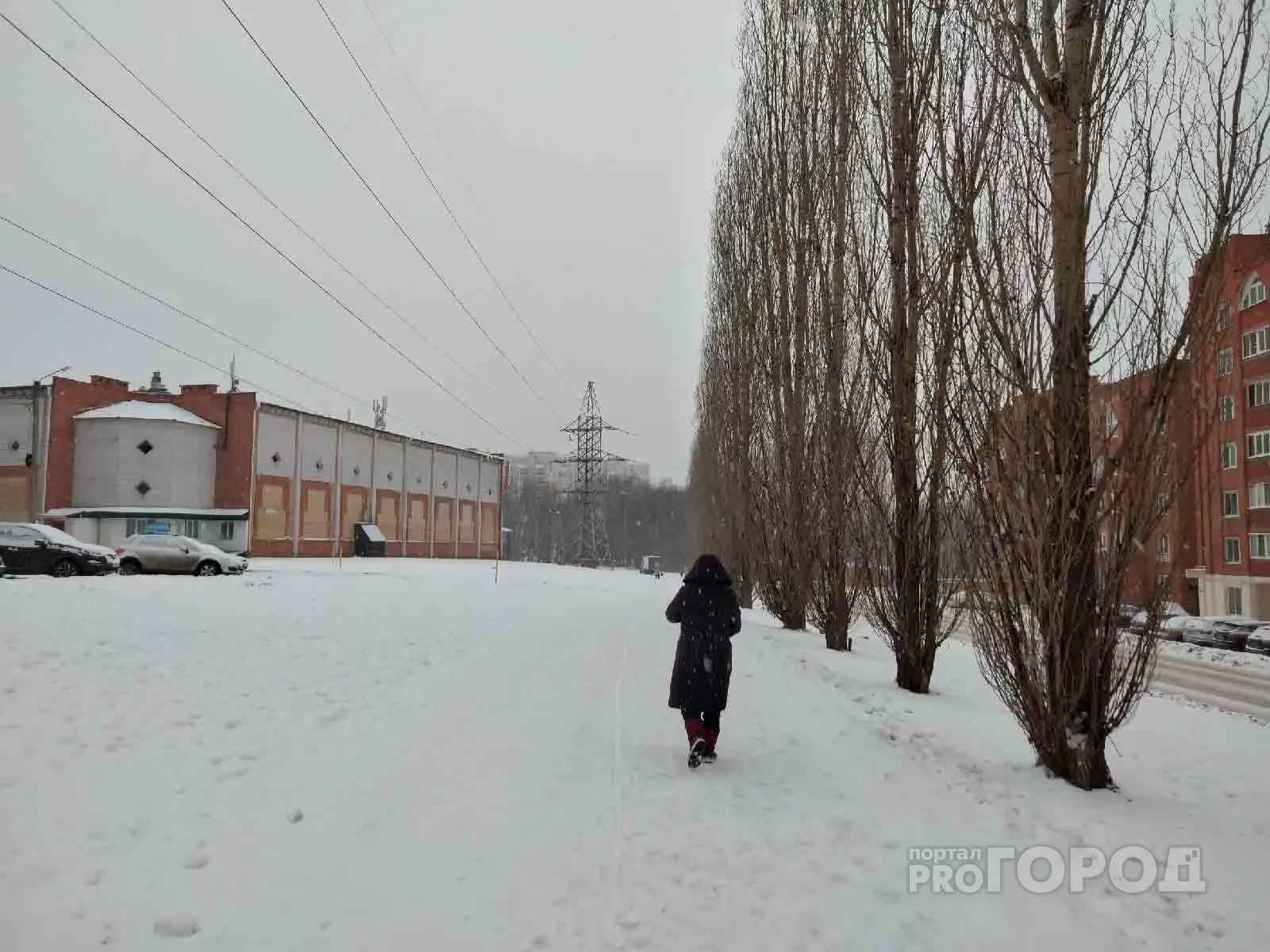 Фото к статье: Жена погибшего строителя из Чувашии осталась с двумя детьми и ипотекой: женщина просит помощи