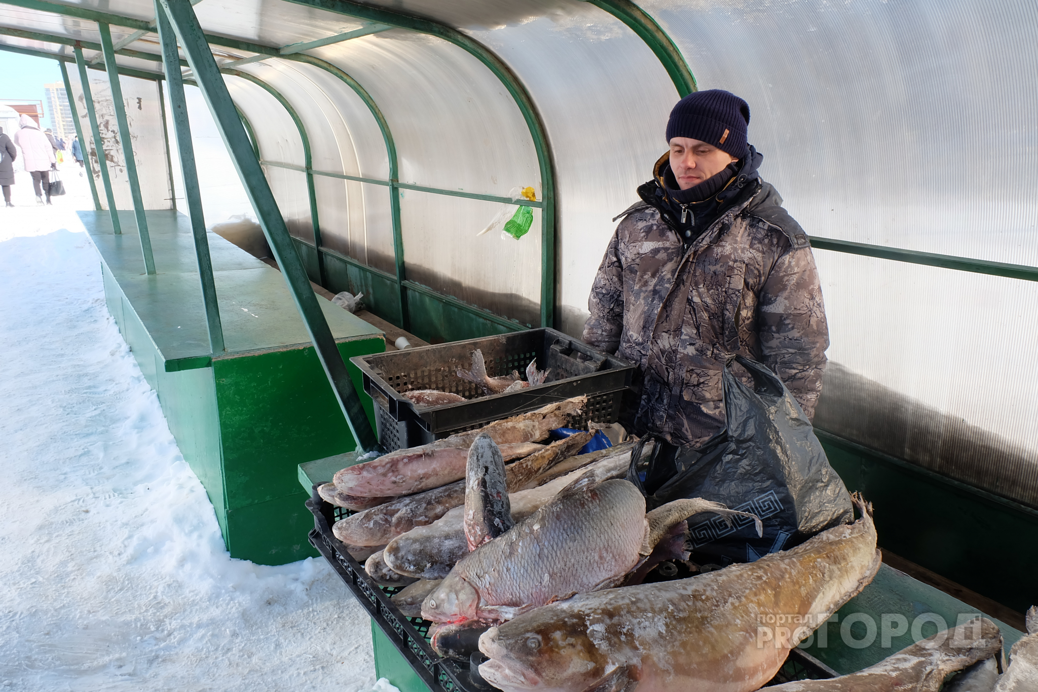 Рыбак второй раз попался чиновникам за торговлю уловом: "У меня двое детей, а это единственный доход"