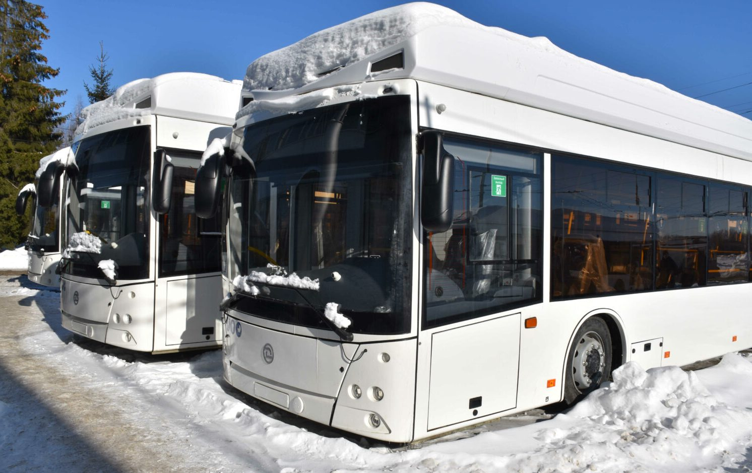 Чувашия планирует получить оставшиеся 38 новых троллейбусов к апрелю