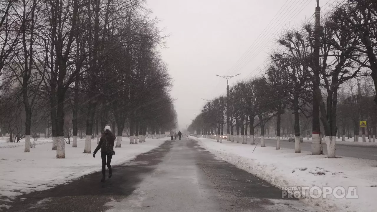 Фото к статье: Синоптики прогнозируют сильный ветер, туман и понижение температуры ночью