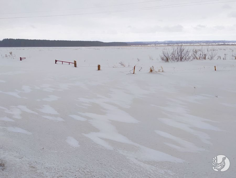 В Чувашии выпал песок из соседнего государства и сделал снег желтым