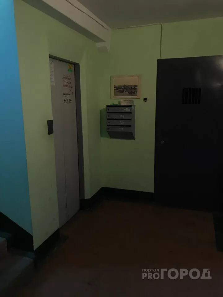 Фото к статье: В Новочебоксарске осудили мужчину, который нападал на девушек сзади