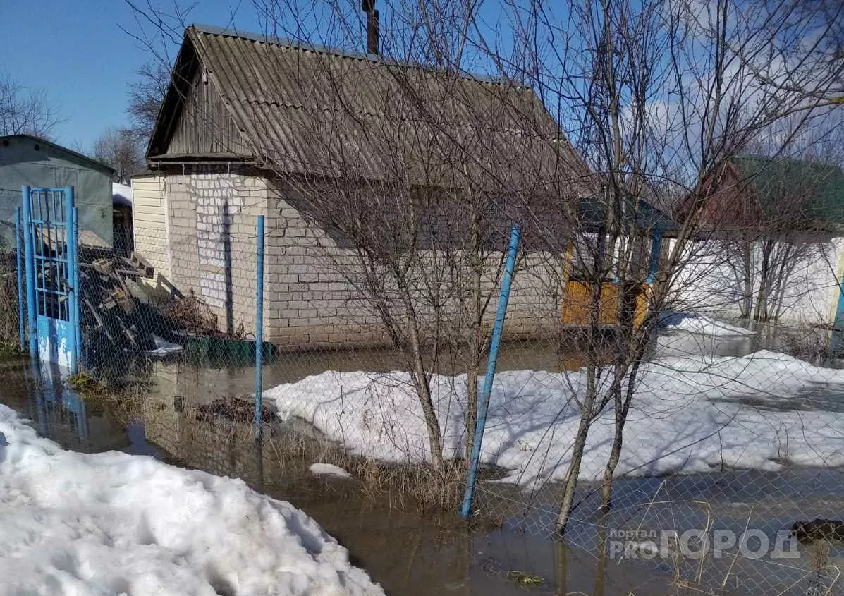 Фото к статье: Дачники Чувашии обеспокоены вопросами "дачной амнистии" и захватом земли соседями