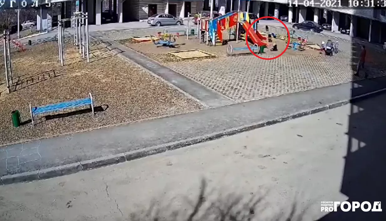 Фото к статье: В Чебоксарах на детскую площадку забежала дворняга и на скорости сбила с ног малыша
