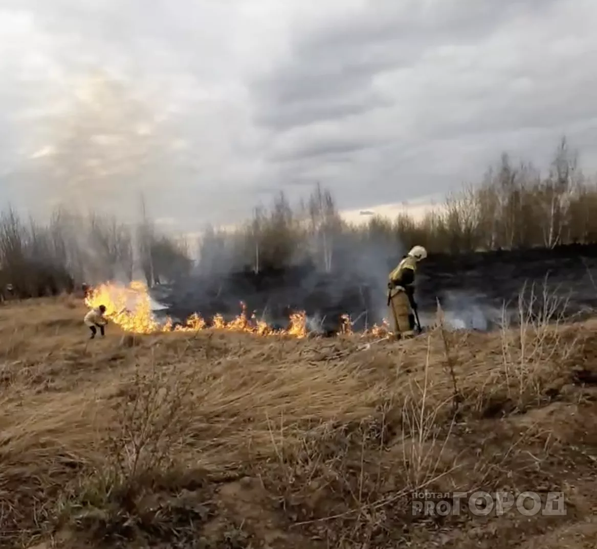 Фото к статье: В Чебоксарах в микрорайоне Соляное горело поле