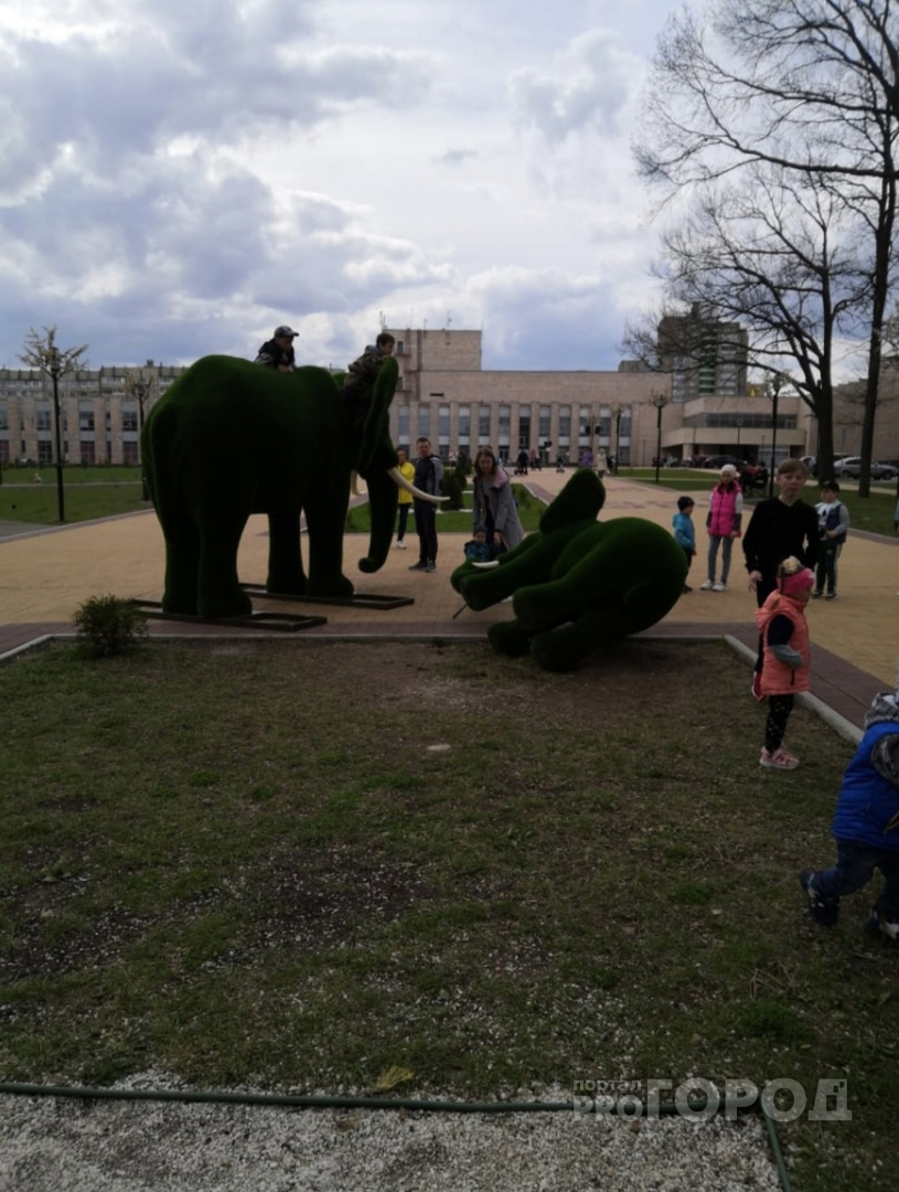 Чебоксарцы о поваленной фигуре слона у кадетского корпуса: "На монумент Матери залезьте еще всей семьей"