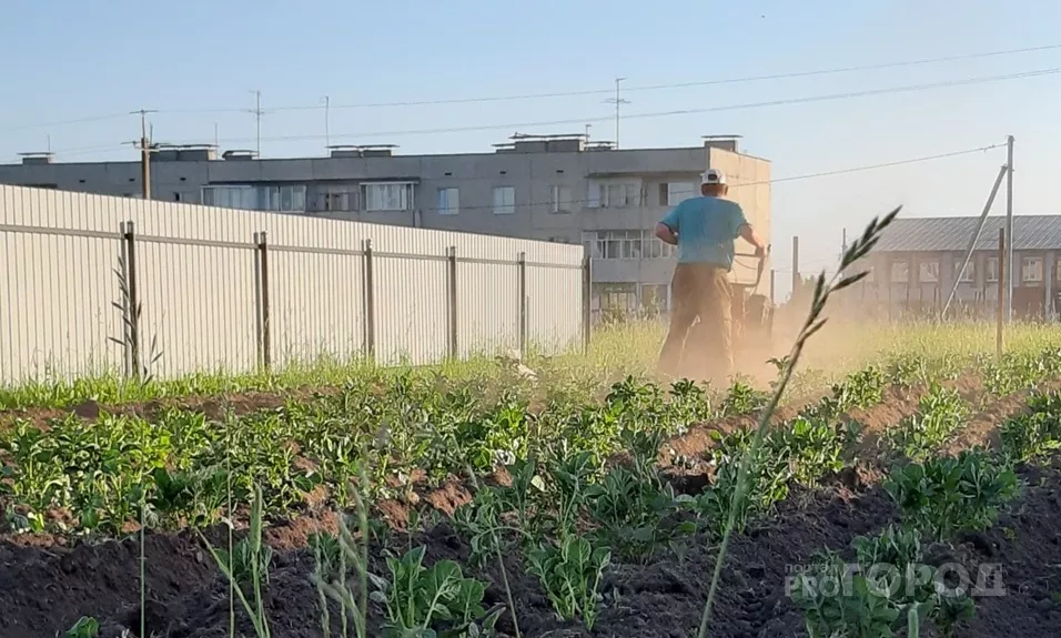 Фото к статье: Житель Чувашии купил участок и 15 лет считал его своим, но потом погнали его прочь