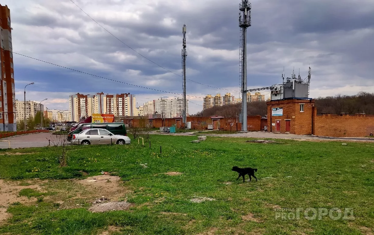 Фото к статье: Немного посвежее станет в Чувашии в пятницу