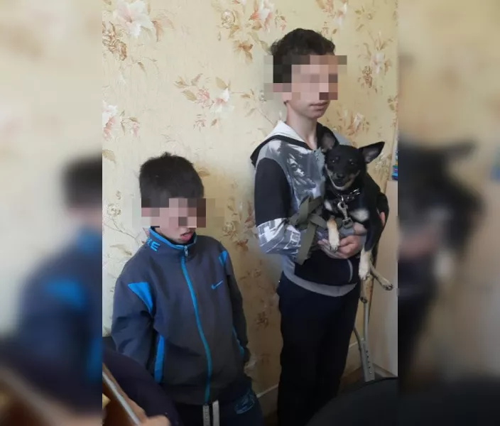 Фото к статье: Пропавшие в Новочебоксарске братья подняли на уши всю местную полицию: боялись возвращаться домой