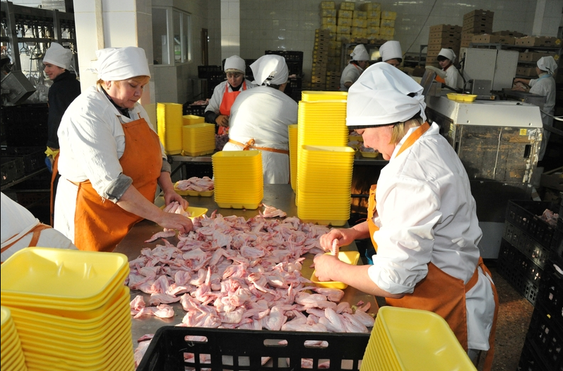 Куриные лапки из Чувашии начали доставлять в Китай