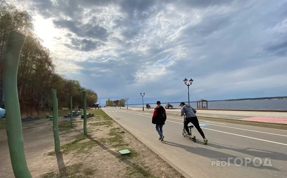 Фото к статье: Мужчина из проката утащил домой электросамокат с GPS-датчиком