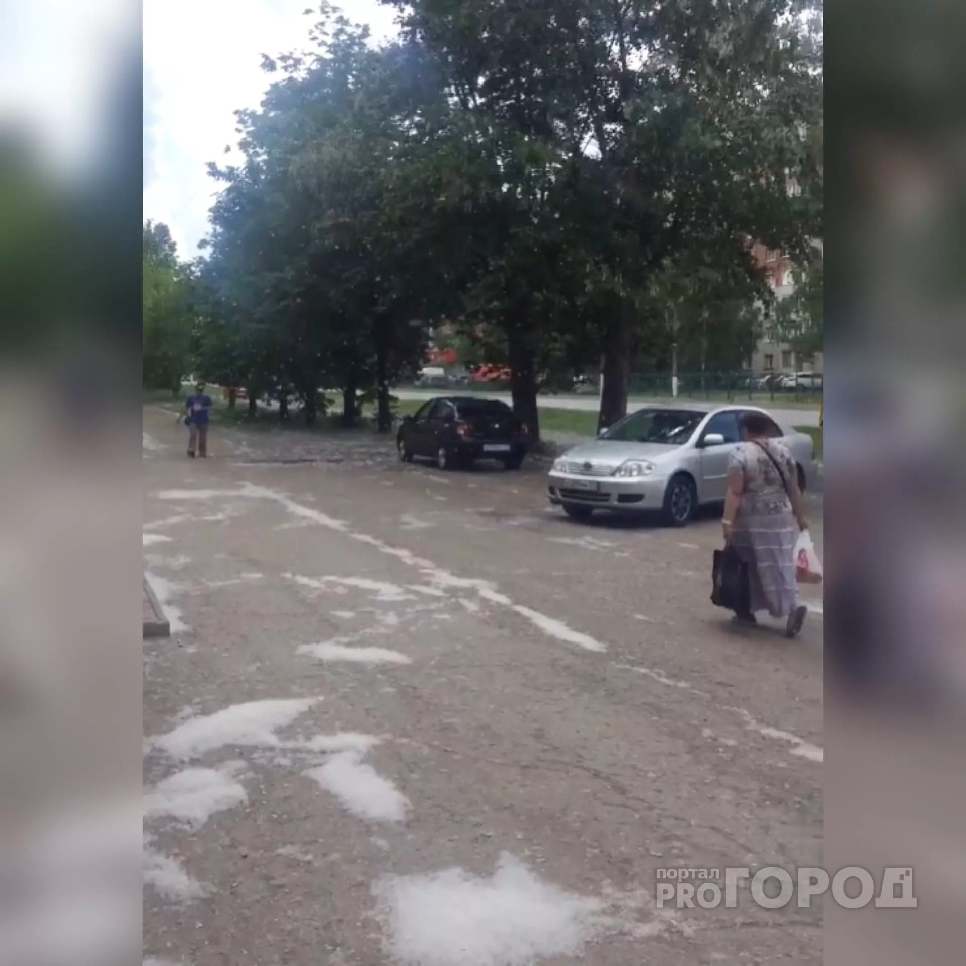 Фото к статье: Жители Чебоксар недовольны завалами тополиного пуха: “Как будто у нас сейчас не лето, а зима”