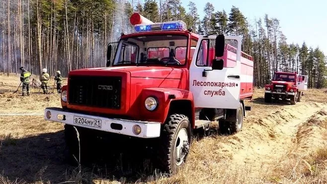 Фото к статье: В Чувашии ввели запрет на посещение лесов