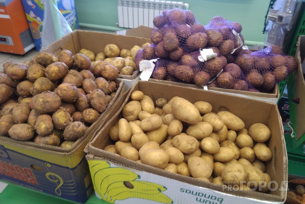 Чувашия находится на 10-м месте по стоимости картошки среди регионов