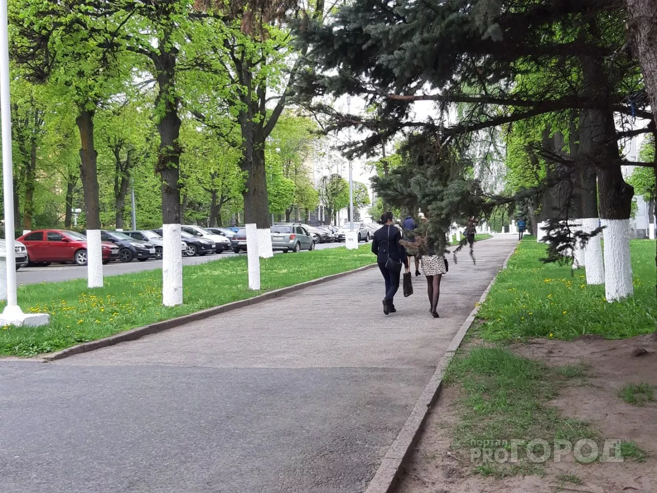 Фото к статье: Чебоксарцы определили будущий облик четырех пространств
