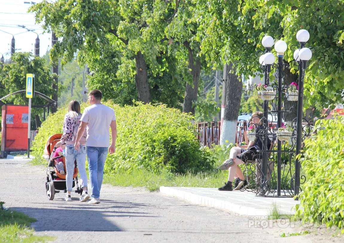 Фото к статье: Подать заявление на новые пособия беременным и родителям-одиночкам можно с июля