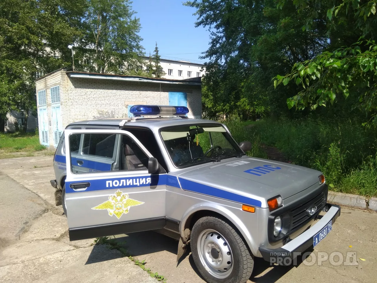Фото к статье: В новочебоксарской пятиэтажке неделю лежал труп человека: "Рой мух влетал и вылетал из окна комнаты"