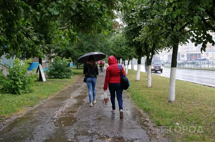 Фото к статье: На этой неделе в Чувашию придет прохлада и ливни: сколько продлится передышка от 30-градусной жары