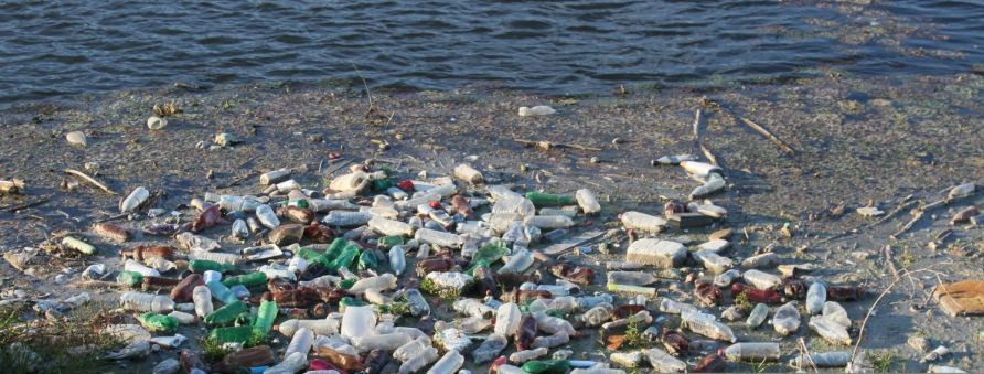Берег Волги в Чебоксарах попал в список мест для уборки в рамках экопроекта