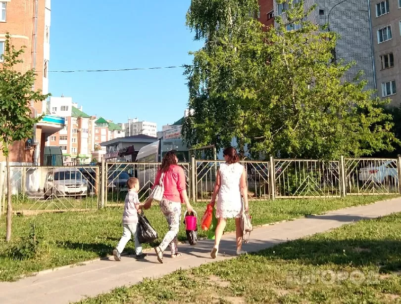 Фото к статье: Новые пособия беременным женщинам и родителям-одиночкам: как получить выплаты