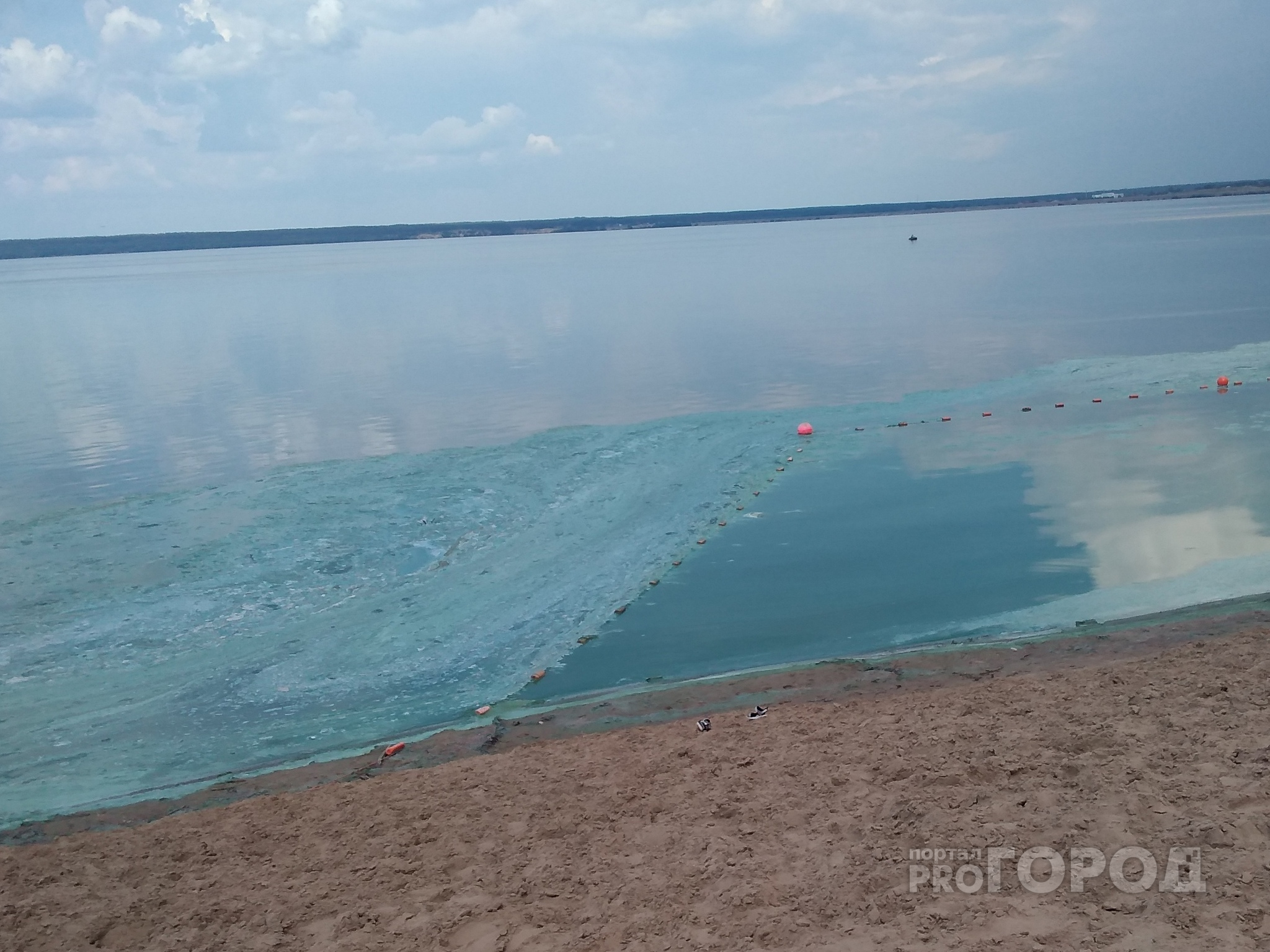 Центральный пляж Чебоксар накрыла зловонная жижа: “Купаться невозможно, это вообще нормально?”