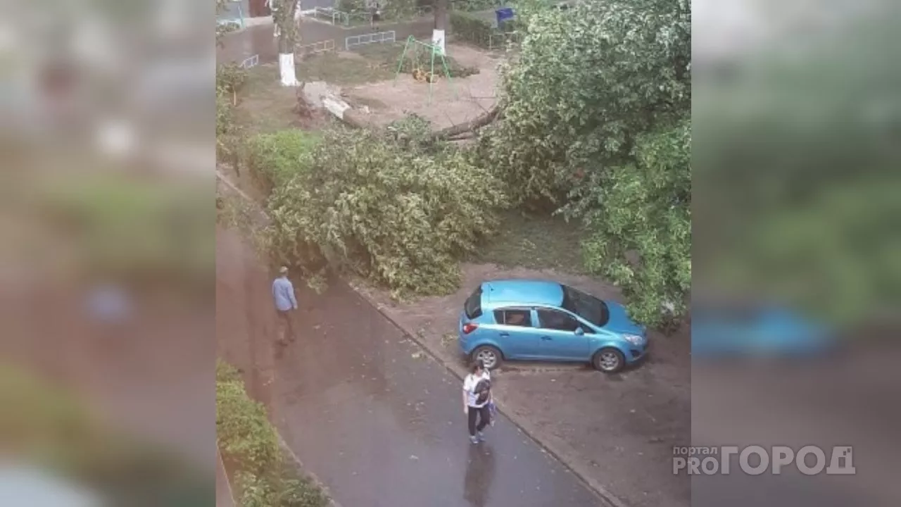 Фото к статье: Последствия грозы в Чебоксарах и Новочебоксарске: от ветра улетел прицеп, упали деревья