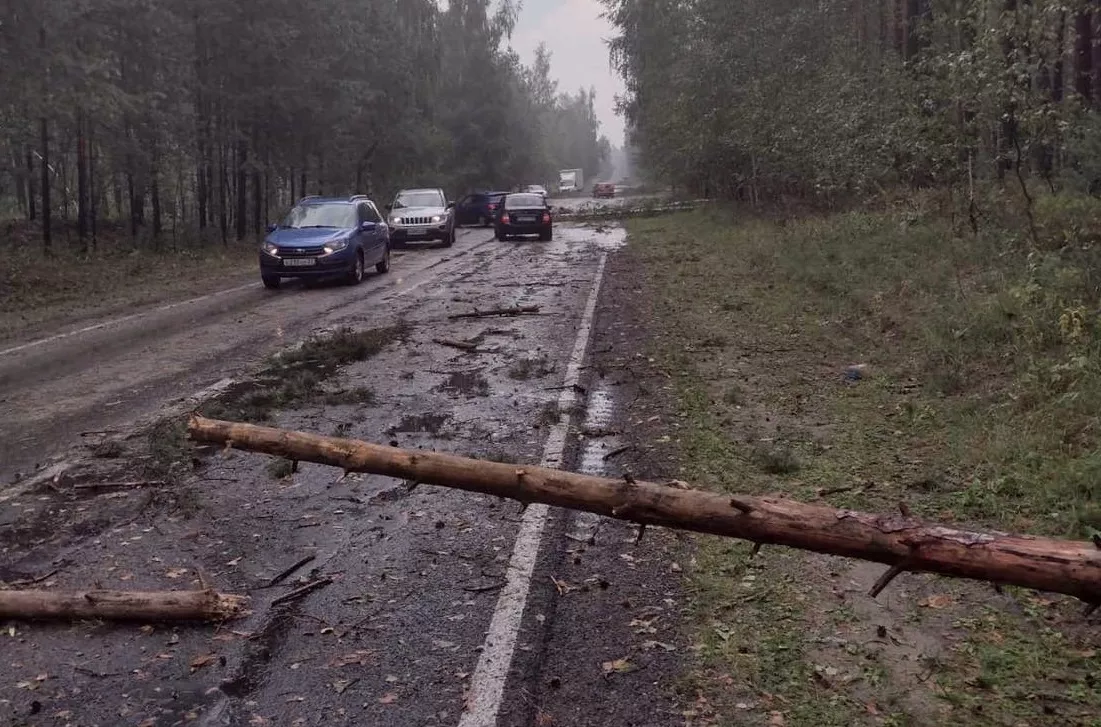 Фото к статье: Отключение света, пожары, скопление воды на дорогах и поваленные деревья: последствия шквалистого ветра в Чебоксарах