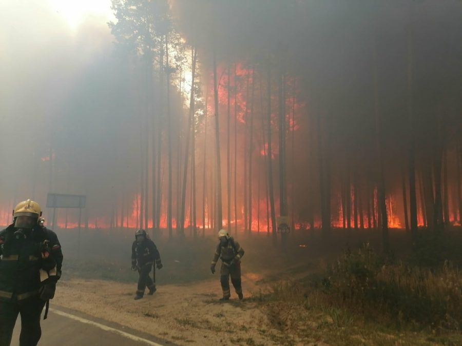 Площадь лесных пожаров в Марий Эл продолжает расти