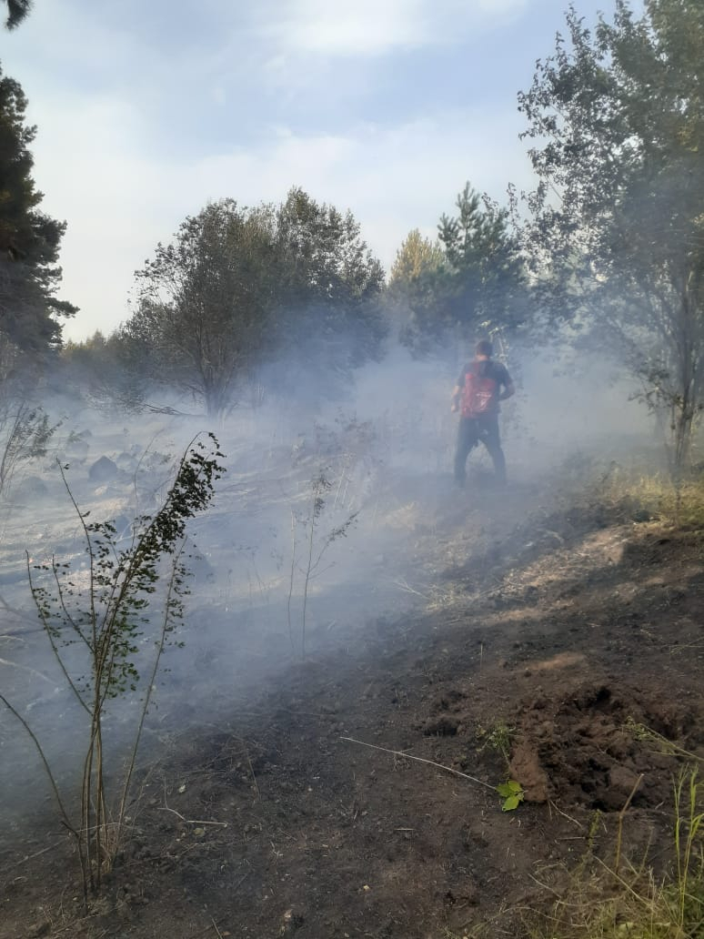 В Чувашии местные жители вместе со спасателями потушили пожар: горели кустарники и сухая трава