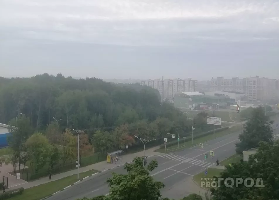 Фото к статье: В среду в Чувашии потеплеет до +27: изменится ли ветер, пригнавший смог из Марий Эл
