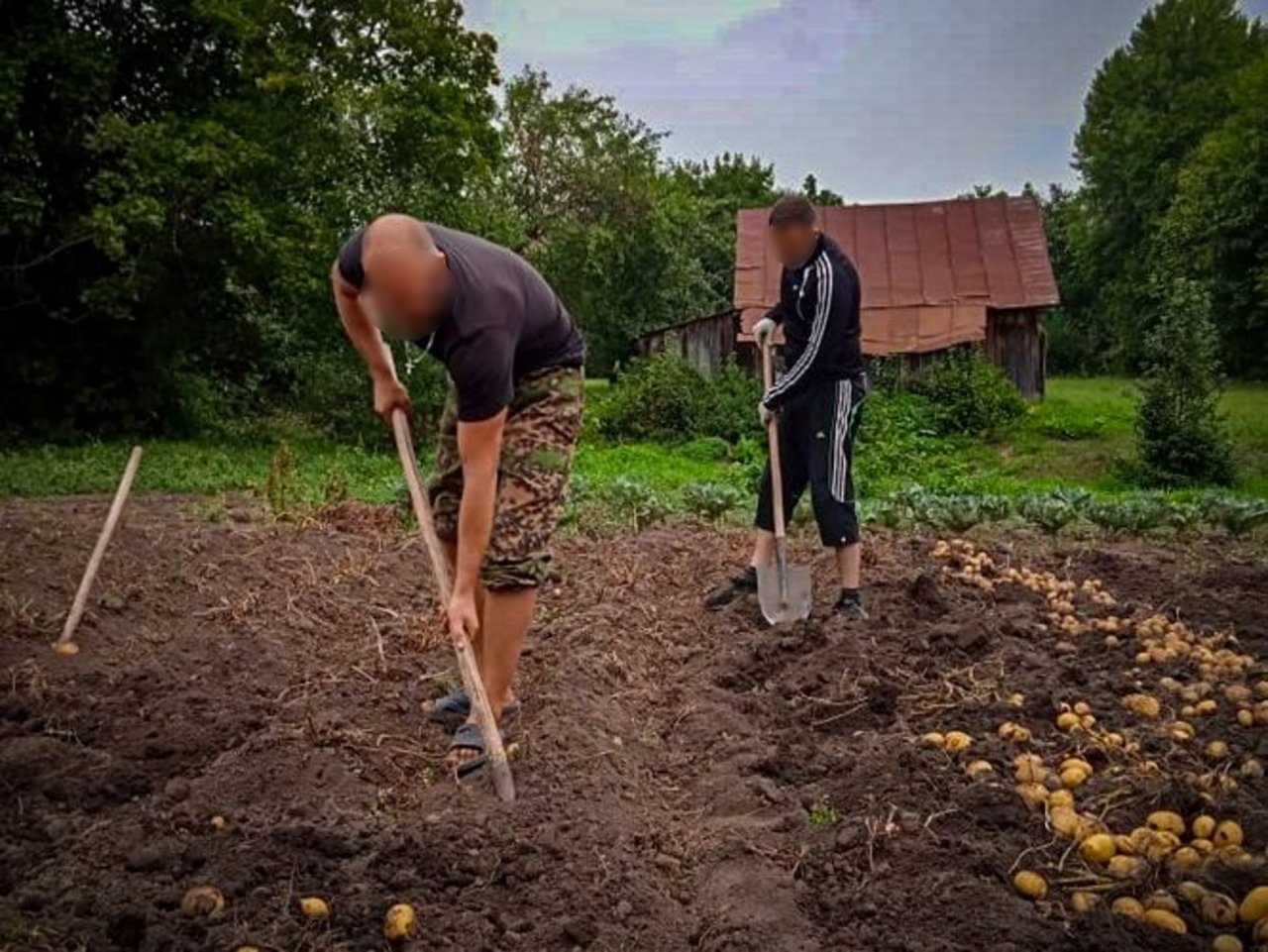 Чувашские омоновцы выкопали картошку родителям погибшего товарища